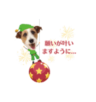 ステファノくんクリスマス＆お正月（個別スタンプ：6）