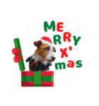 ステファノくんクリスマス＆お正月（個別スタンプ：7）
