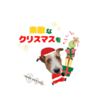 ステファノくんクリスマス＆お正月（個別スタンプ：8）