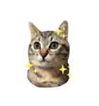うにちゃんとろくんⅡ（個別スタンプ：3）