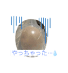 ハム庭スタンプ①（個別スタンプ：3）