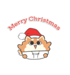 台湾の柴犬ハッピーピピメリークリスマス編（個別スタンプ：39）
