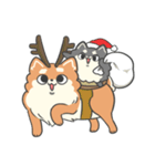 台湾の柴犬ハッピーピピメリークリスマス編（個別スタンプ：40）