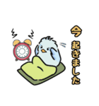マメルリハインコの青豆ちゃん【予定】（個別スタンプ：9）