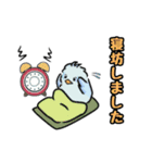 マメルリハインコの青豆ちゃん【予定】（個別スタンプ：10）