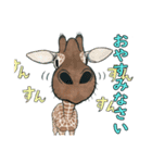 gata123（個別スタンプ：5）