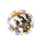 テオット5（個別スタンプ：3）