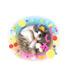 テオット5（個別スタンプ：10）