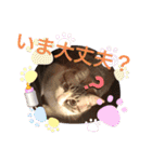 テオット5（個別スタンプ：11）