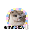 テオット5（個別スタンプ：25）