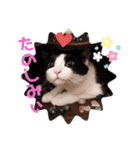 テオット5（個別スタンプ：28）
