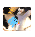 テオット5（個別スタンプ：32）