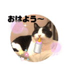 テオット5（個別スタンプ：40）