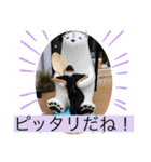 ランナウェイ・ウェイヨー（個別スタンプ：5）