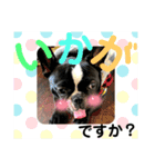 jolie＆petit（個別スタンプ：7）