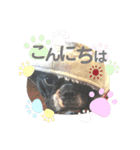 jolie＆petit（個別スタンプ：8）