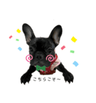 jolie＆petit（個別スタンプ：9）