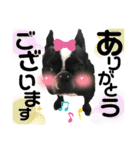 jolie＆petit（個別スタンプ：10）