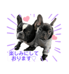 jolie＆petit（個別スタンプ：14）