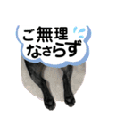 jolie＆petit（個別スタンプ：15）