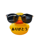 ダニエルさま（個別スタンプ：1）