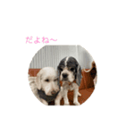 ここたfriends-1（個別スタンプ：4）