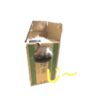 辰巳家の犬猫（個別スタンプ：15）