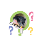 山ちゃんちのももくん1（個別スタンプ：1）
