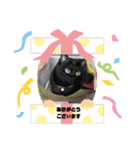 山ちゃんちのももくん1（個別スタンプ：5）