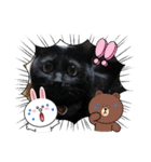 山ちゃんちのももくん1（個別スタンプ：6）