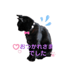 山ちゃんちのももくん1（個別スタンプ：11）