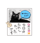 山ちゃんちのももくん1（個別スタンプ：16）