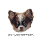 かいとふじ（個別スタンプ：1）