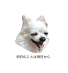 かいとふじ（個別スタンプ：3）