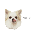 かいとふじ（個別スタンプ：4）