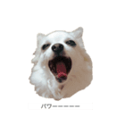 かいとふじ（個別スタンプ：5）