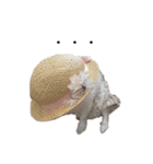 かいとふじ（個別スタンプ：6）