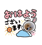 プードル犬kohaku君（個別スタンプ：11）