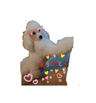 プードル犬kohaku君（個別スタンプ：18）