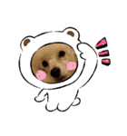 プードル犬kohaku君（個別スタンプ：23）