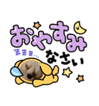プードル犬kohaku君（個別スタンプ：29）
