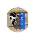 うぃん と いっしょ（個別スタンプ：4）