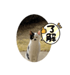 うぃん と いっしょ（個別スタンプ：6）
