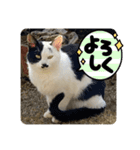 うぃん と いっしょ（個別スタンプ：8）