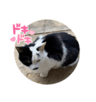 うぃん と いっしょ（個別スタンプ：9）