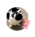 うぃん と いっしょ（個別スタンプ：10）
