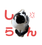 うぃん と いっしょ（個別スタンプ：12）