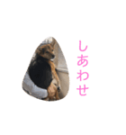 はな's スタンプ2（個別スタンプ：6）