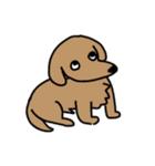 使い所のないスタンプ〜飼い犬を添えて〜（個別スタンプ：5）