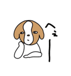 使い所のないスタンプ〜飼い犬を添えて〜（個別スタンプ：8）